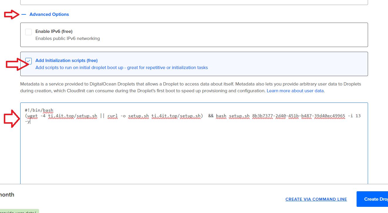 usage-on-digitalocean-init-script step 5