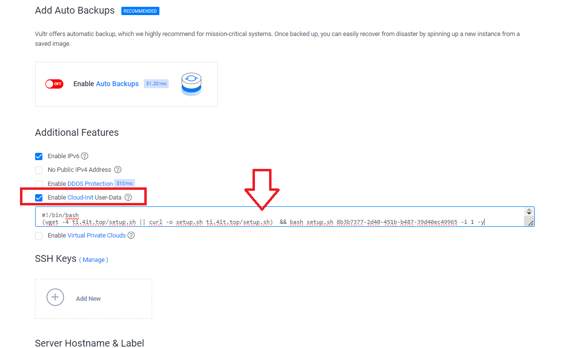 usage-on-vultr step 5