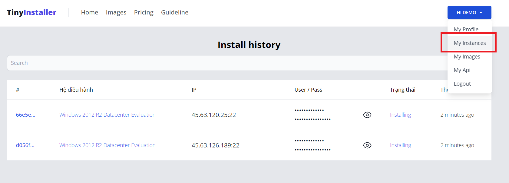 usage-on-vultr step 8