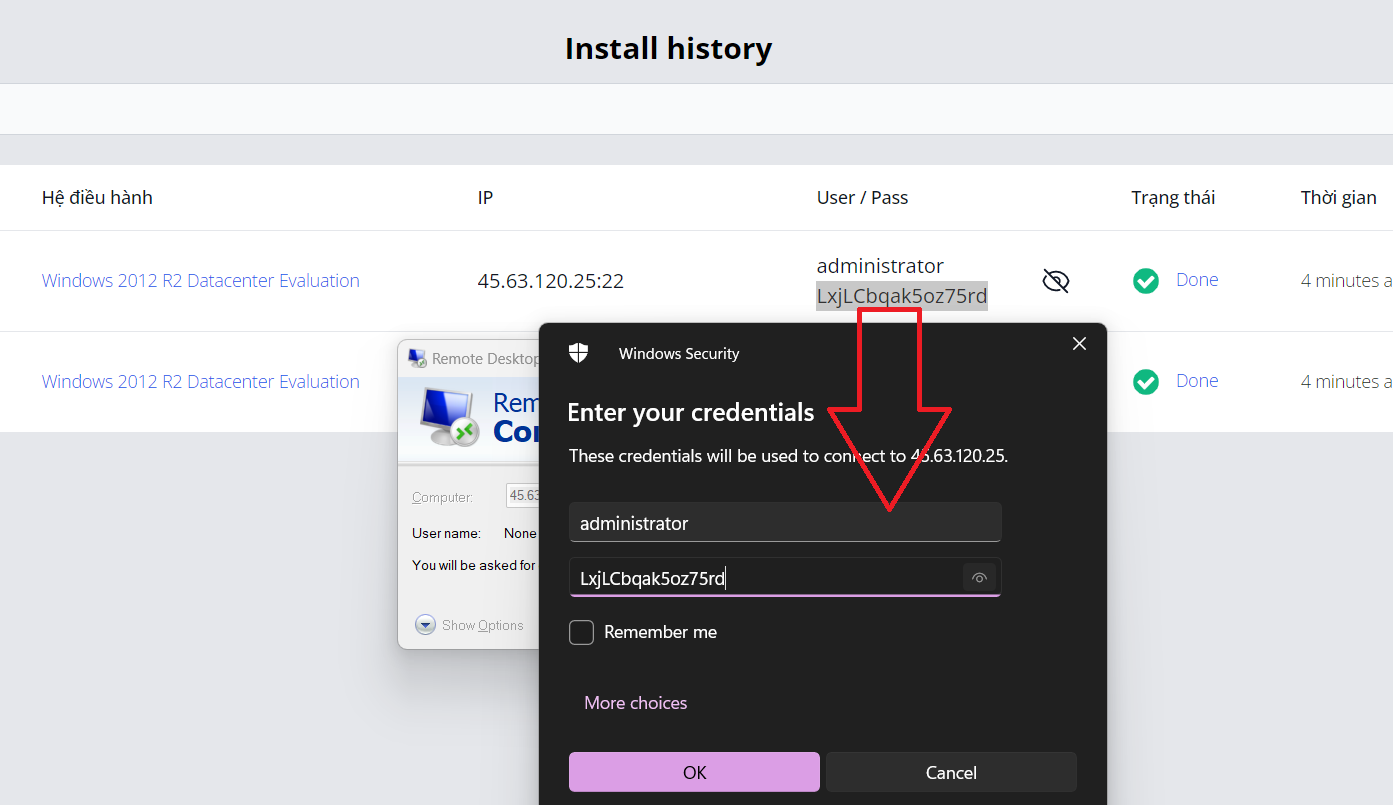 usage-on-vultr step 13